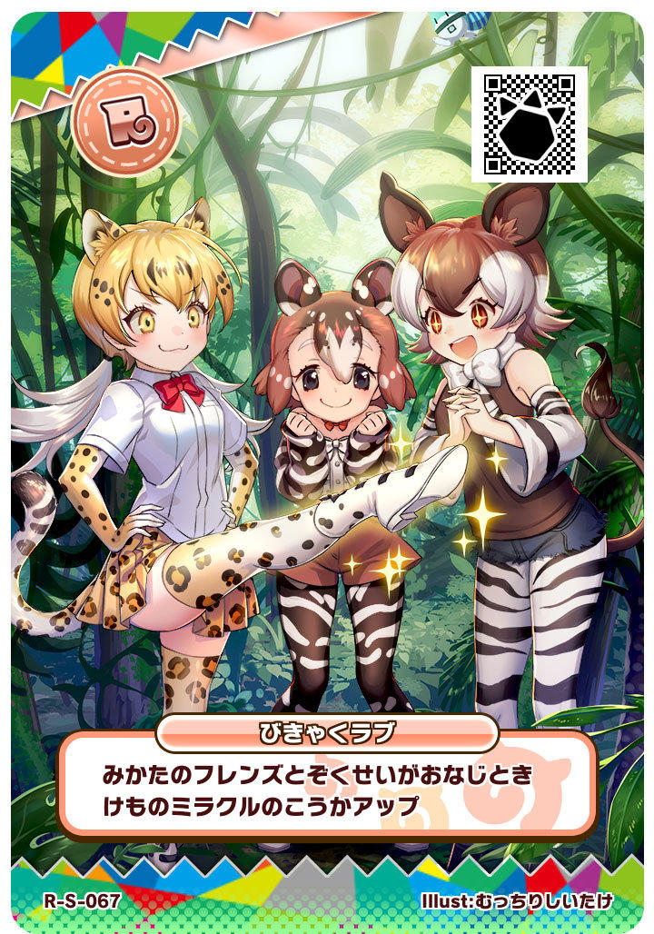 けものフレンズ３ おしらせ 新フレンズカード スキルカード登場 さらに新エリアも追加 セガ